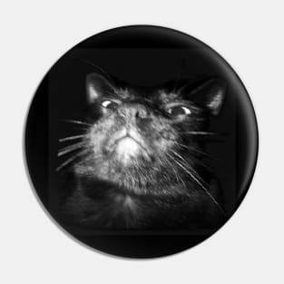 Oppressive Feline Pin