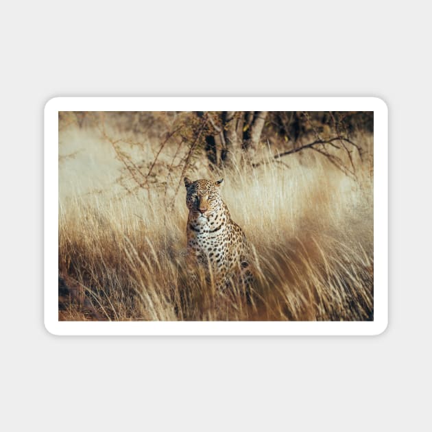 African Leopard 2 Magnet by withluke