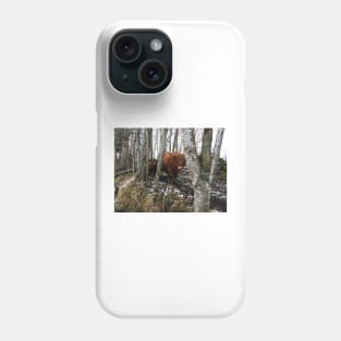 Scottish Highland Cattle Cow and Calf 1597 Phone Case