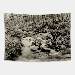 Misty mountain stream Tapestry