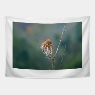 sbs pygmy owl Tapestry