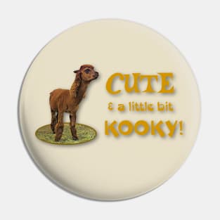 CUTE and a little bit KOOKY! Pin