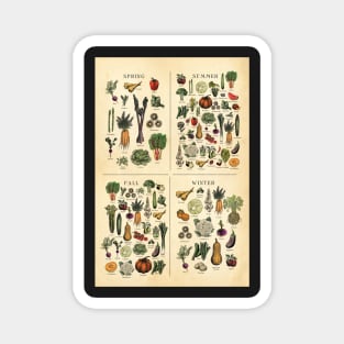 American Midwest Seasonal Fruit and Vegetable chart Magnet