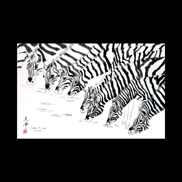 Zebras by Cwang