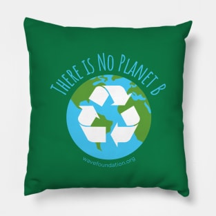 There is No Planet B Pillow