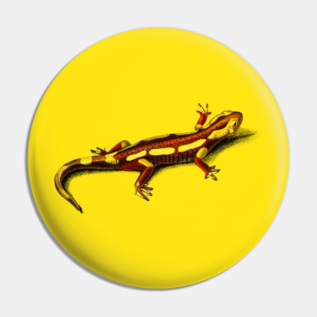 Vintage fire Salamander amphibian Pin by Phantom Troupe