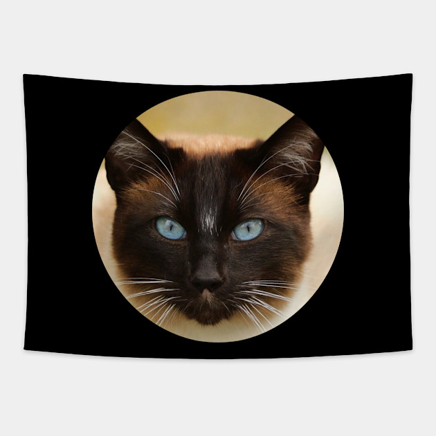 Meow Kitty Cat Kat Kittens Kitten Meow Cute Cats Kitty Cats Tapestry Teepublic