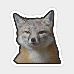 Swift Fox Magnet