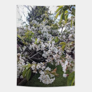 White Cherry Blossom Tapestry