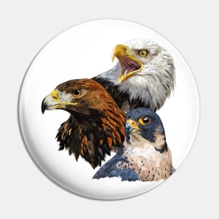 American Pigargo, Golden Eagle and Peregrine Falcon Pin