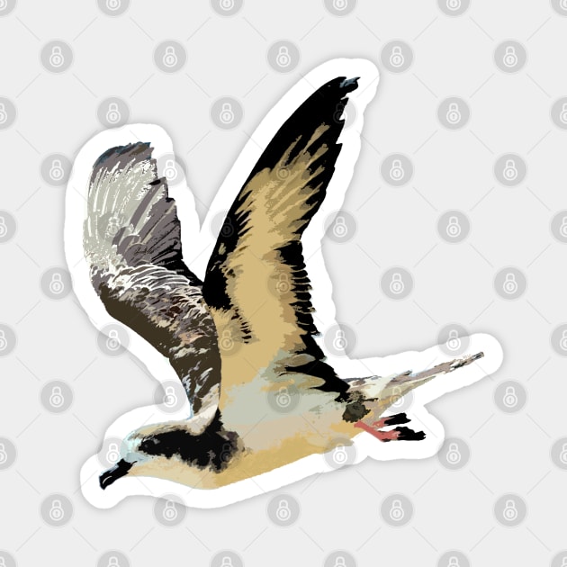 ʻUaʻu, Hawaiian Petrel Magnet by NadJac