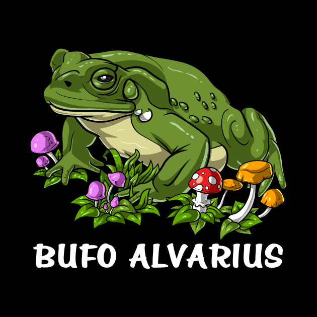 Bufo Alvarius Toad Frog by underheaven