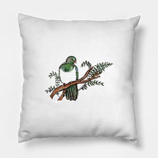 New Zealand pigeon Pillow