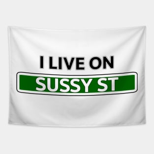 I live on Sussy St Tapestry