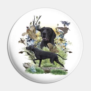German shorthaired pointer hunting Pin