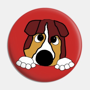 miniature american shepherd red tri peeking cartoon Pin