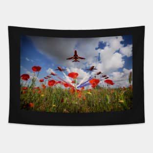 Red Arrows Poppy Fly Past Tapestry