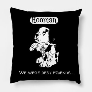 Hooman. We were best friends Pillow