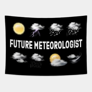 Future Meteorologist Tapestry