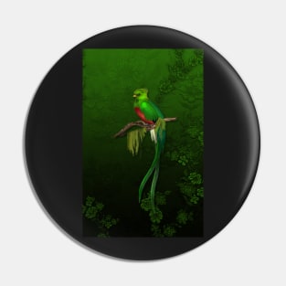 Exotic Quetzal Bird on Green Floral Pin