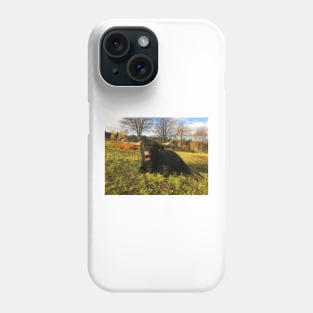 Scottish Highland Cattle Bull 2137 Phone Case