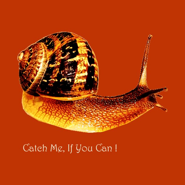 Catch Me If You Can by mindprintz