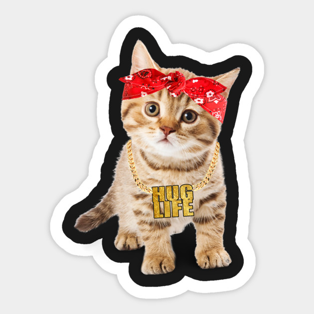 Hug Thug Gangster Life Gold Chain Cat Shirt Gangsta Cat Tee Cat