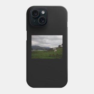 Portree Bay & Wild Horses, Skye, Scotland Phone Case