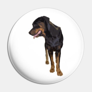 rottweiler Pin