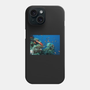 marine and aquatic life Phone Case