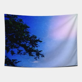 BLUE AESTHETICS Tapestry