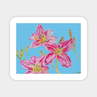 Pink Lily Flower Watercolor Painting Pattern - on Pastel Blue Magnet