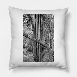 Iao Valley State Monument Study 12 Pillow