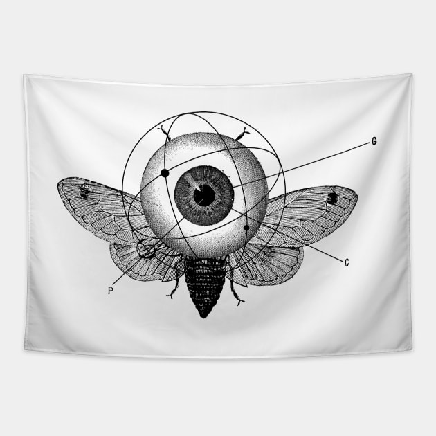 Big brother's eye Tapestry by BRAVE CREATION