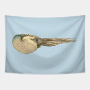 Argonaut Vintage Scientific Illustration Tapestry