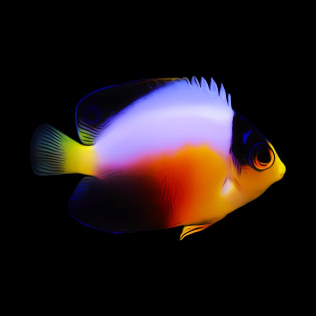 Pygmy AngelFish by unrefinedgraphics