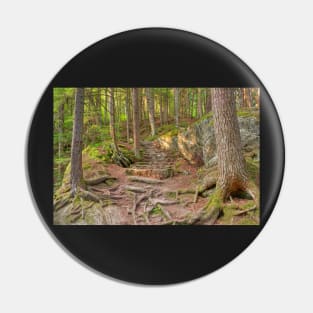 Green Mountain Forest Trail Pin