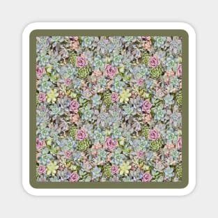 Succulents Pastels Magnet