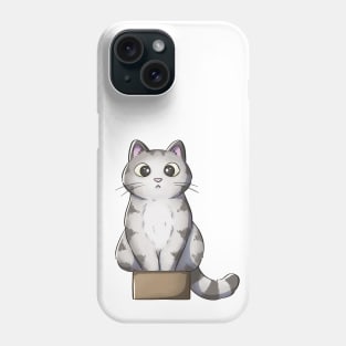 Tabby Cat Sitting In Small Box Phone Case