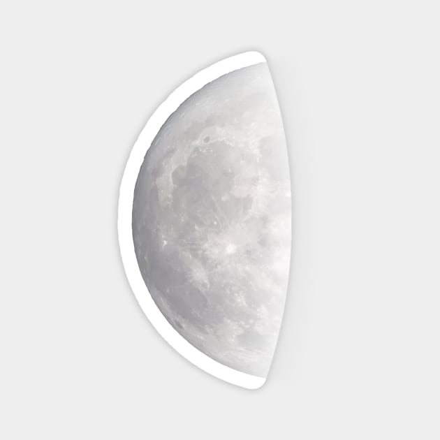 Last Quarter Moon Celestial Design Magnet by tortagialla