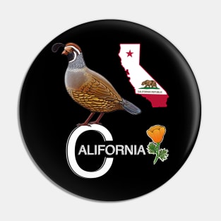 California quail state bird Californian poppy flowers Pin