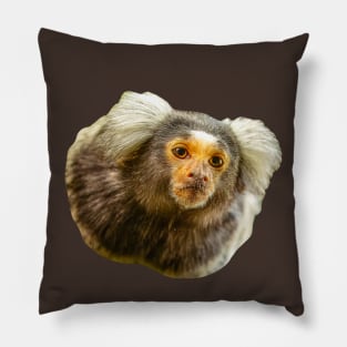 Marmoset Pillow