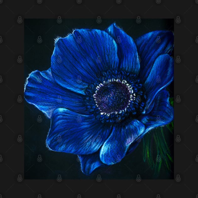 Blue Anemone by Eara3