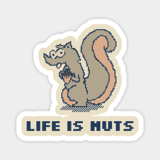 Life Is Nuts! Magnet