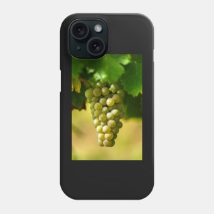 Ripening grapes on the vine Phone Case