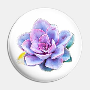 Succulent - Pastel Beauty Pin