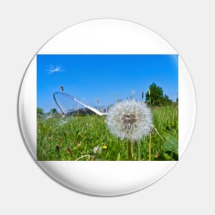 Dandelion clock and wind blown seed Pin