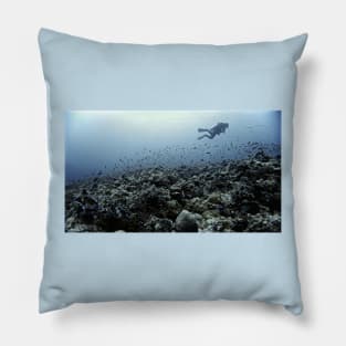 THE CORAL NICHE Pillow