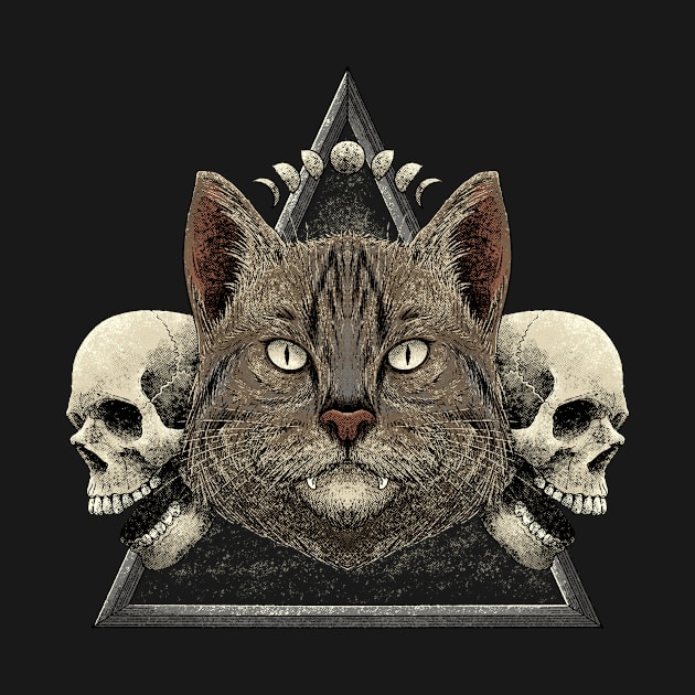 Triangle Cat by snapedsgn