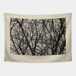 Natural Trees Map Tapestry
